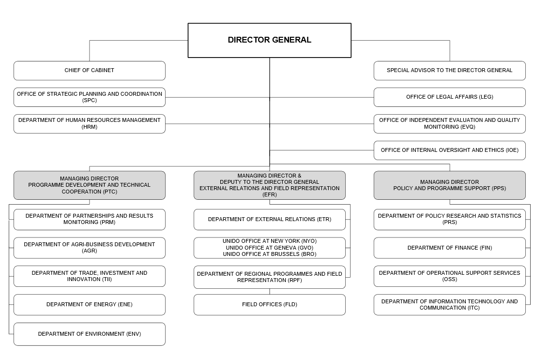 Structure | UNIDO