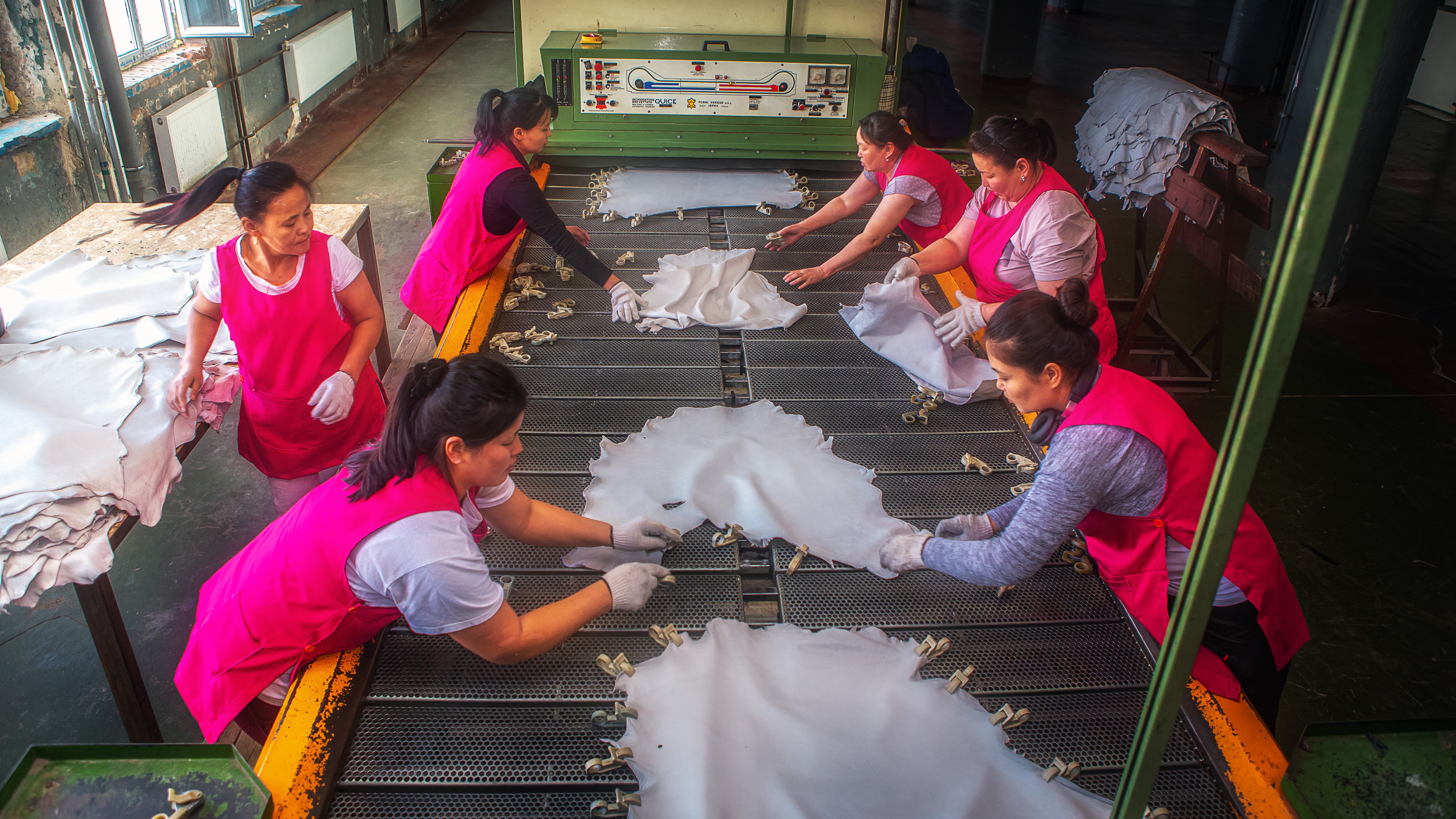 Leather processing in Mongolia