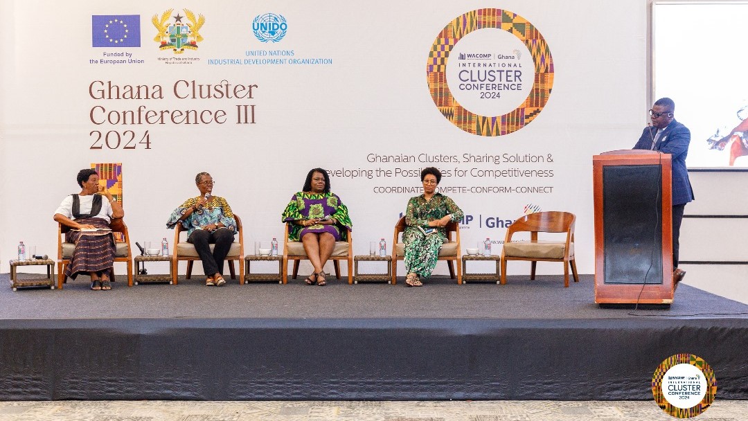 Gender impact of cluster development panel