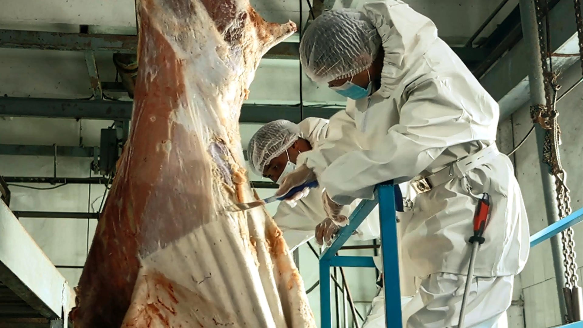 Moodle - Meat Processing Technology Mongolian