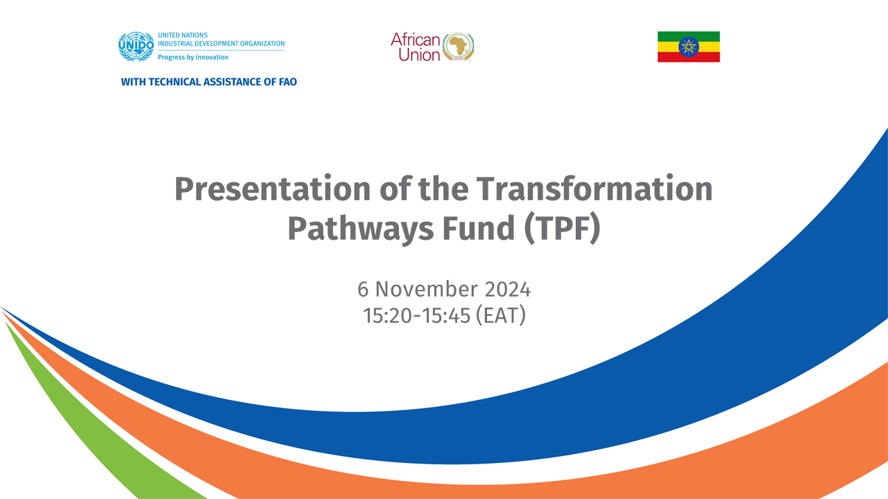 Presentation of the Transformation Pathways Fund (TPF) Banner