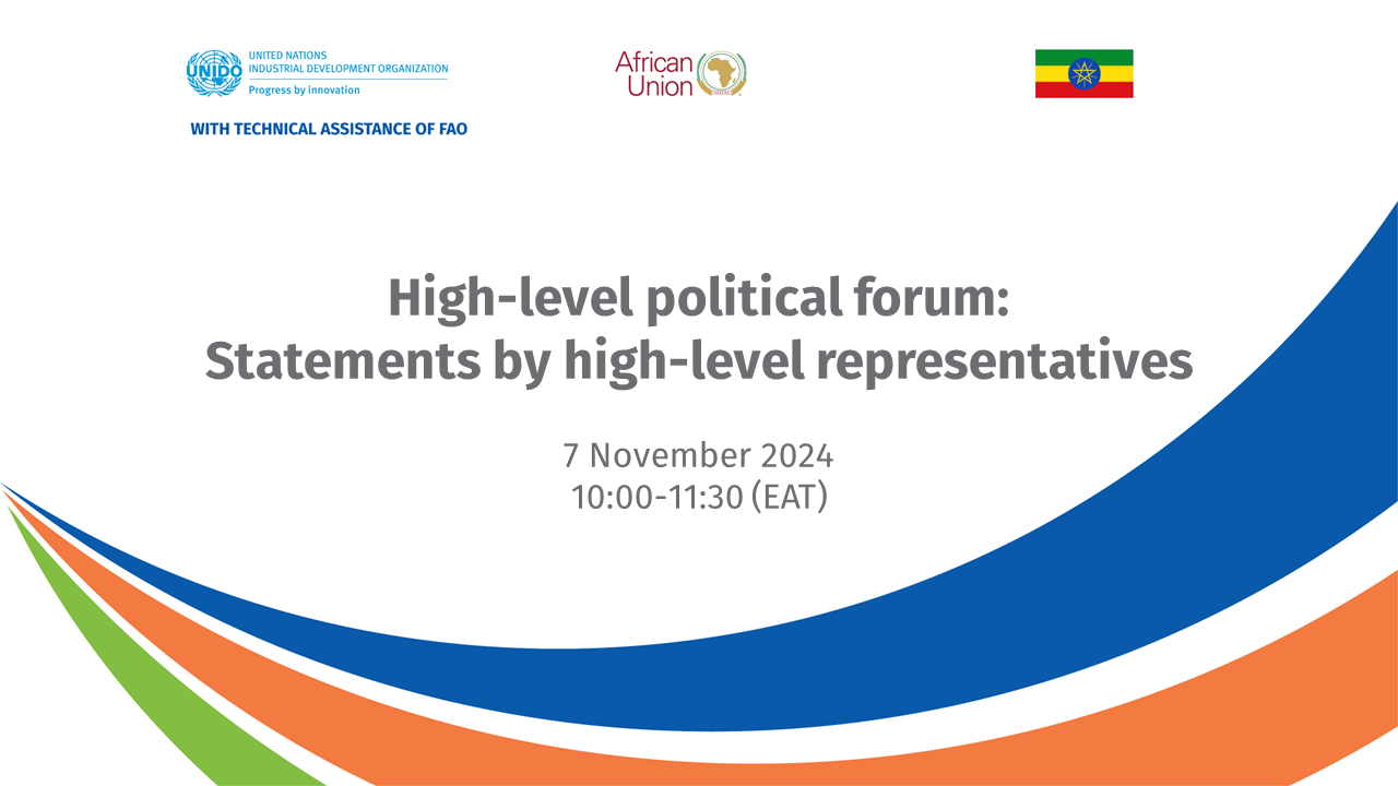 High-level political forum: Statements by high-level representatives banner