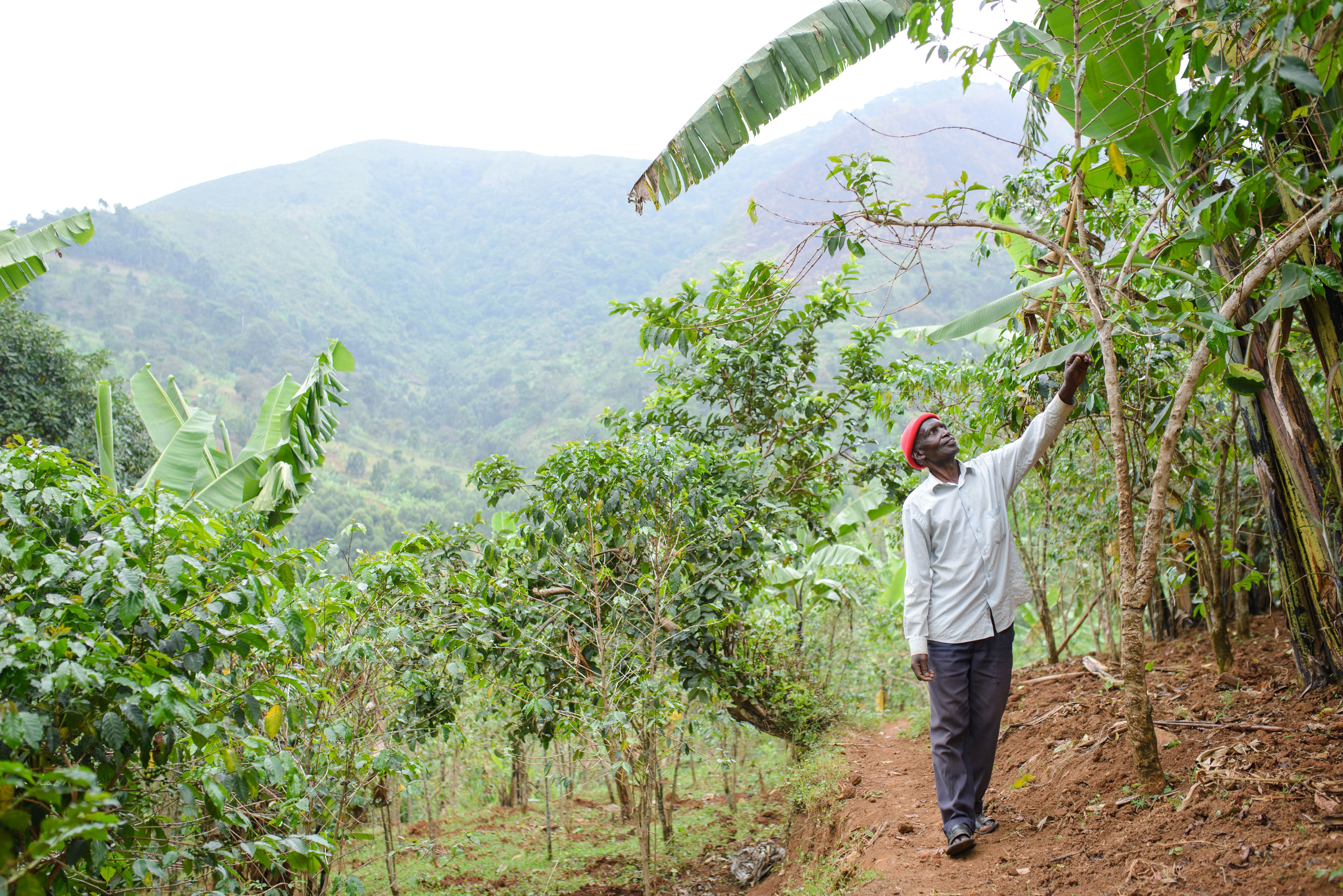 Farmers in Makali