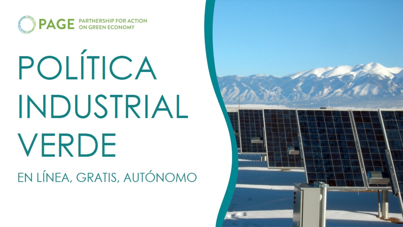 Moodle - Política industrial verde - Promoviendo la competitividad y la transformación estructural