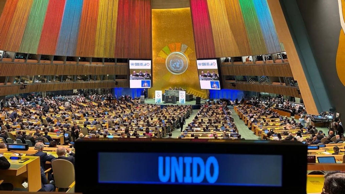 UNIDO_UNGA24