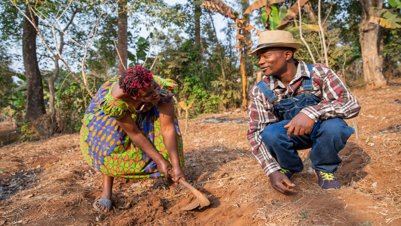 Programme for Innovation in Climate Adaptation and Resilience Building Solutions 