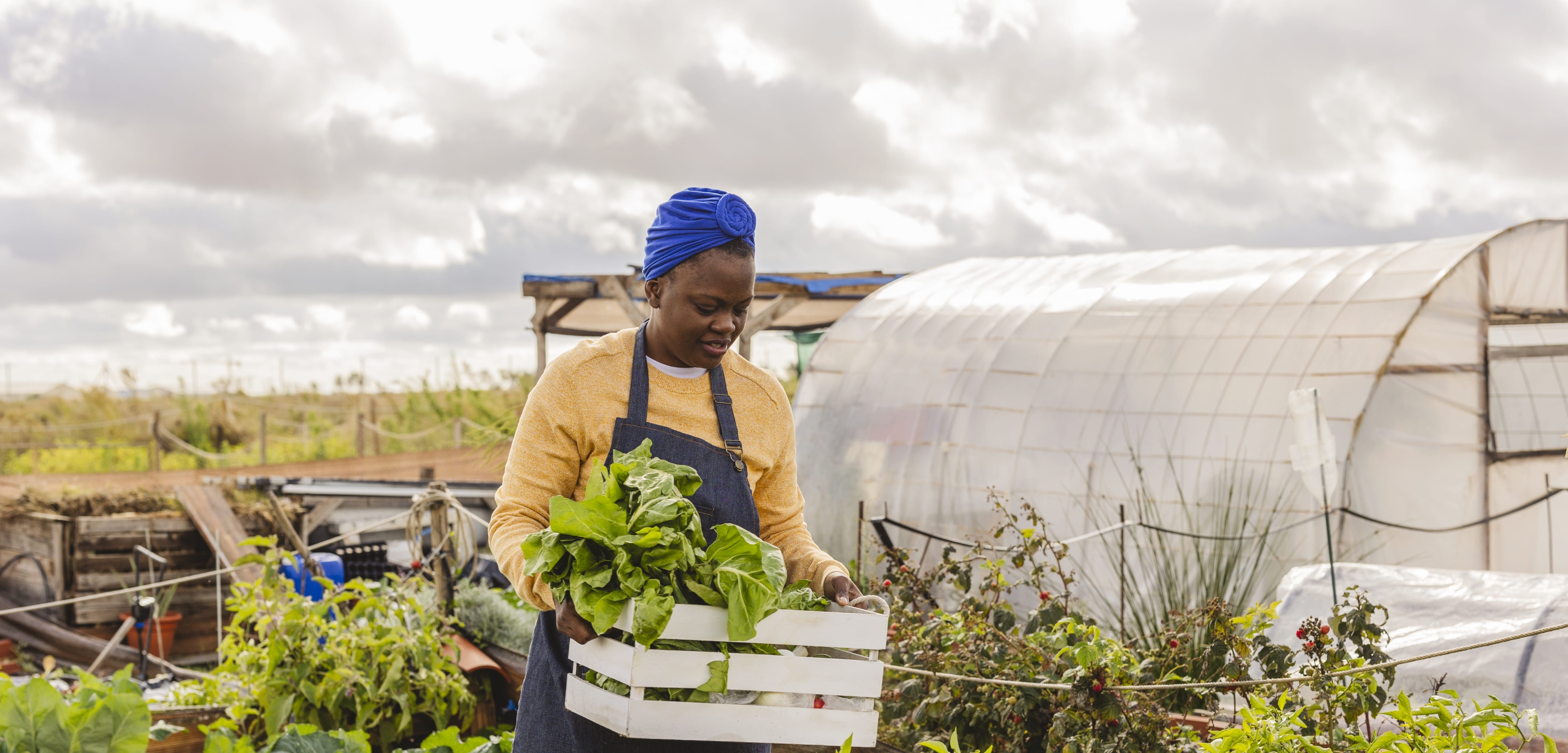 Resilience for Peace & Stability, Food and Water Security Innovation Grant Program